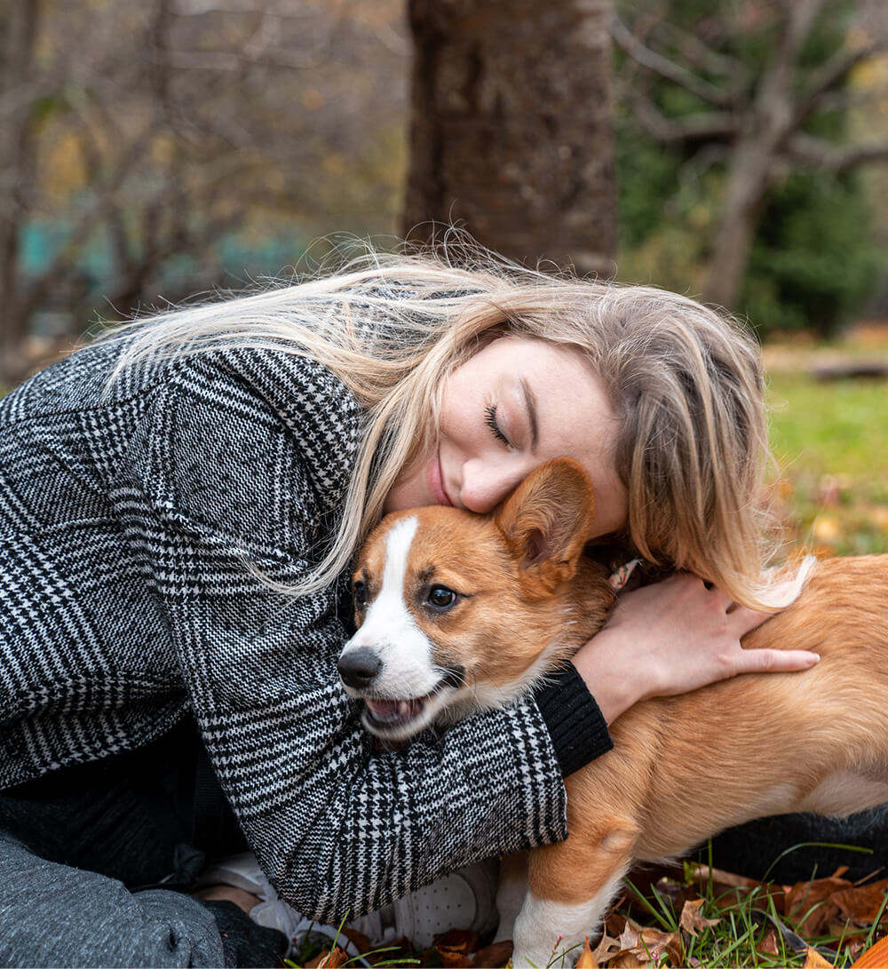 A Fresh Veterinary Experience dog and cat playing