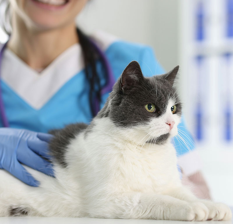 Compassionate Surgical Care
