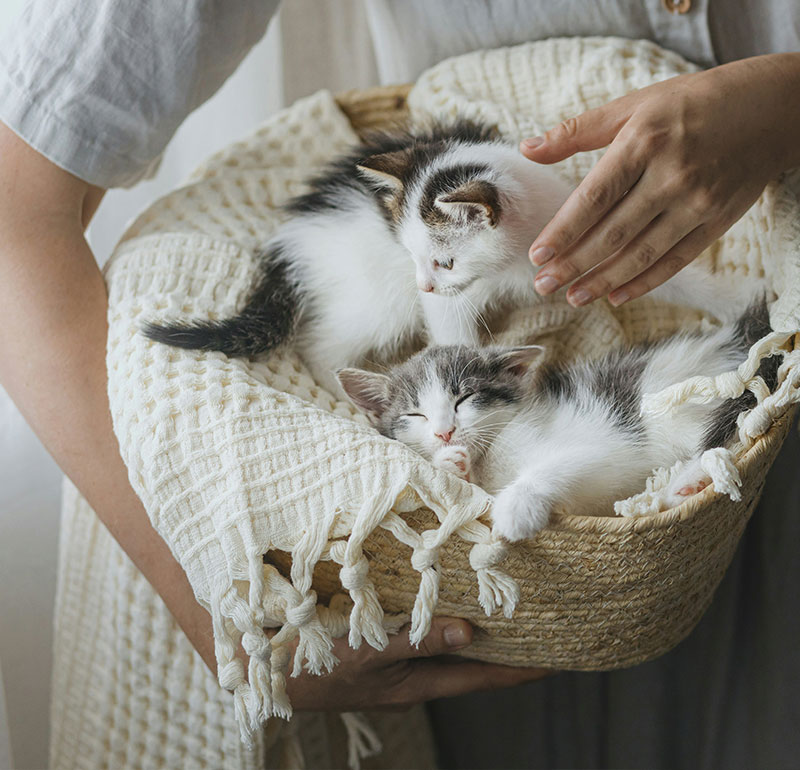 comprehensive-care-every-stage-of-life Comprehensive Care Every Stage of Life